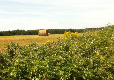 La Financière agricole :  bilan de mi-saison