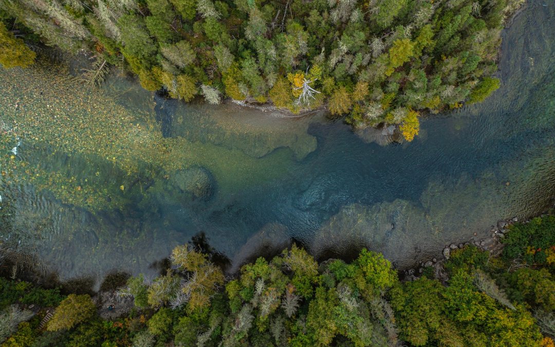 Remise à l’eau des saumons : Saumon Québec appuie la décision