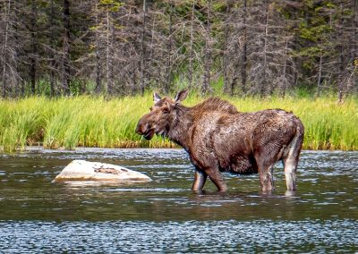 Pour une saison de chasse harmonieuse