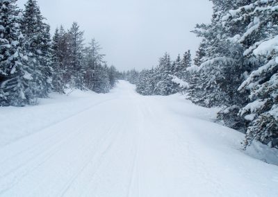Plus de 3000 motoneiges vérifiées