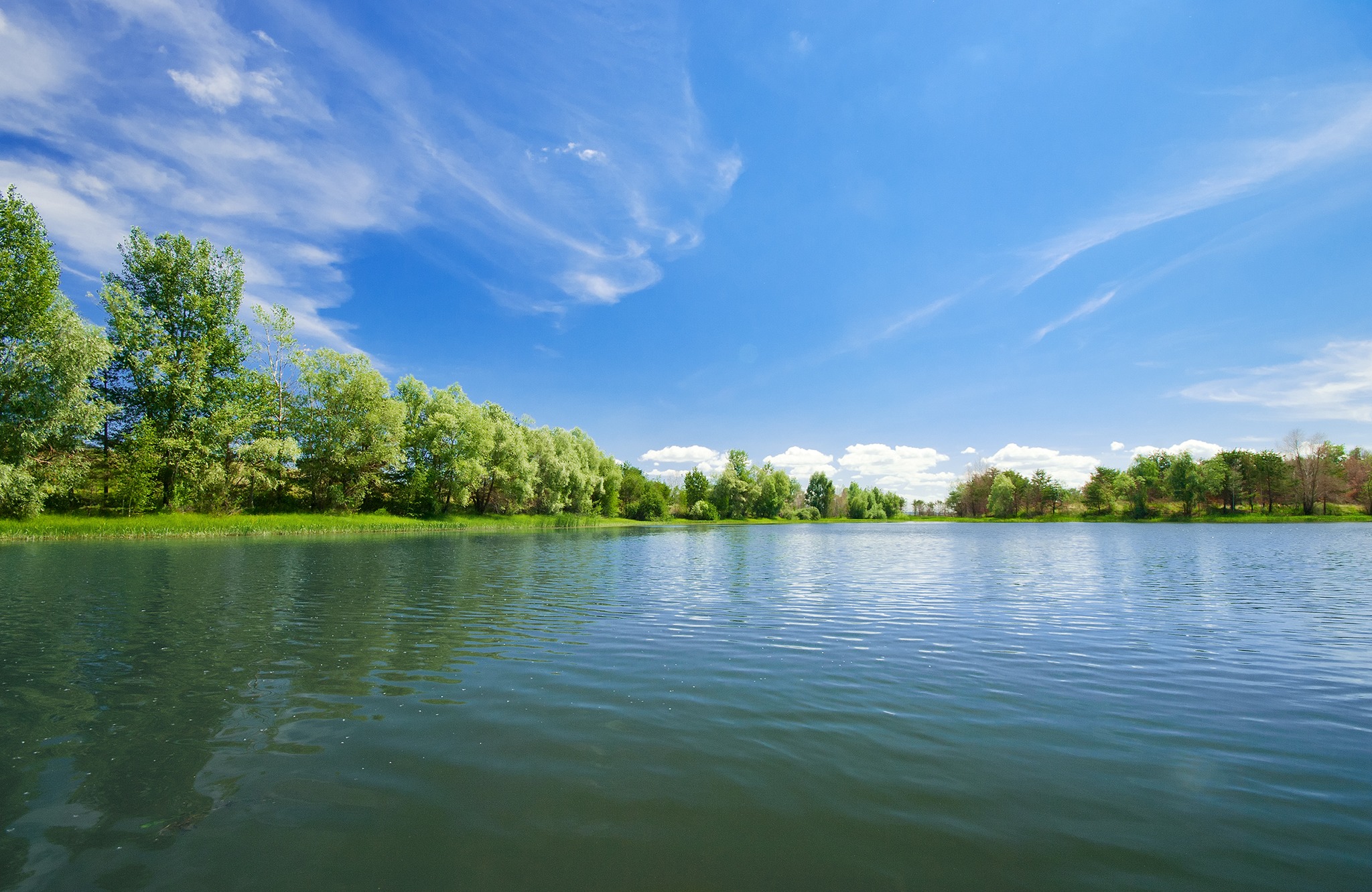 Forest lake under blue cloudy sky
