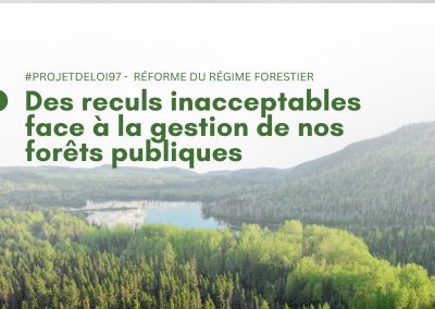 Régime forestier : des reculs inacceptables, selon SNAP Québec