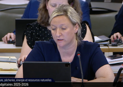 Damabois : la ministre Blanchette Vézina s’engage à trouver des solutions