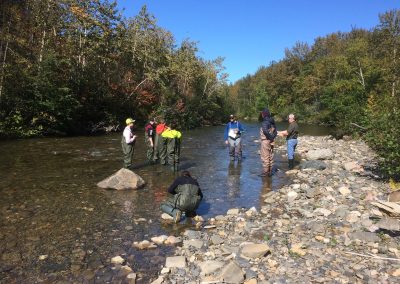 Conseil de l’eau du nord de la Gaspésie : un organisme en action sur le terrain