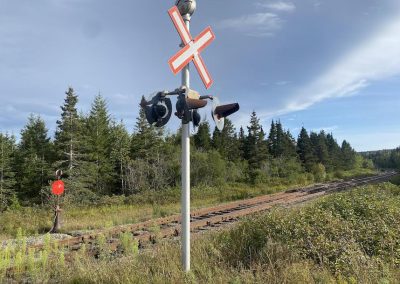 L’épandage de glyphosate en Gaspésie et autres produits toxiques dénoncé encore une fois