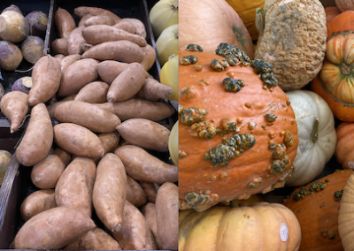 Lancement du Recensement de la relève agricole établie