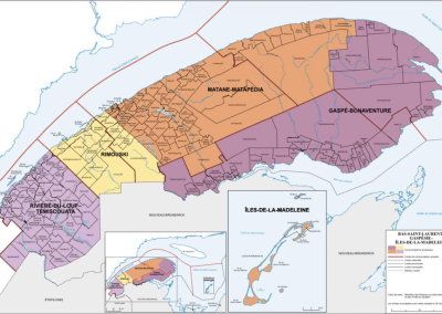 Carte électorale : le gouvernement évalue ses options