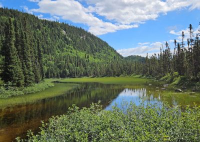 Environnement : la décision de Québec saluée