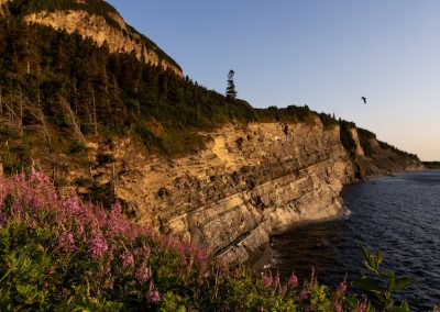 Forillon : forte hausse de l’achalandage en 2025