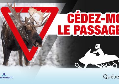 Orignaux : les motoneigistes doivent céder le passage