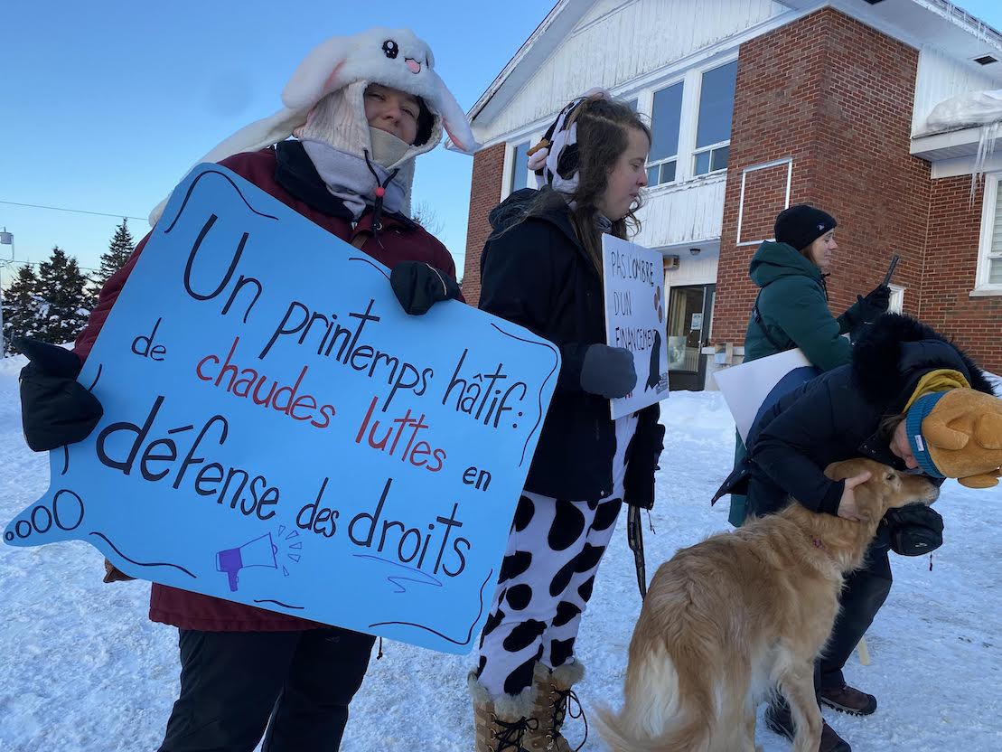 La Table de concertation féministe Gaspésie-les-Îles et Droits Devant Manifestation pendant Fred la Marmotte 2026