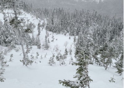 Retour sur les avalanches avec Steve Dumont