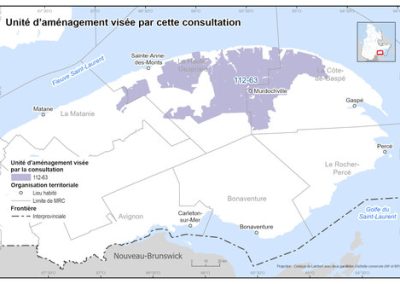 Aménagement forestier en Haute-Gaspésie : des consultations en cours