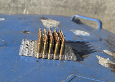 DES BALLES DE CALIBRE .22 DANS DES BACS BRUNS EN HAUTE-GASPÉSIE