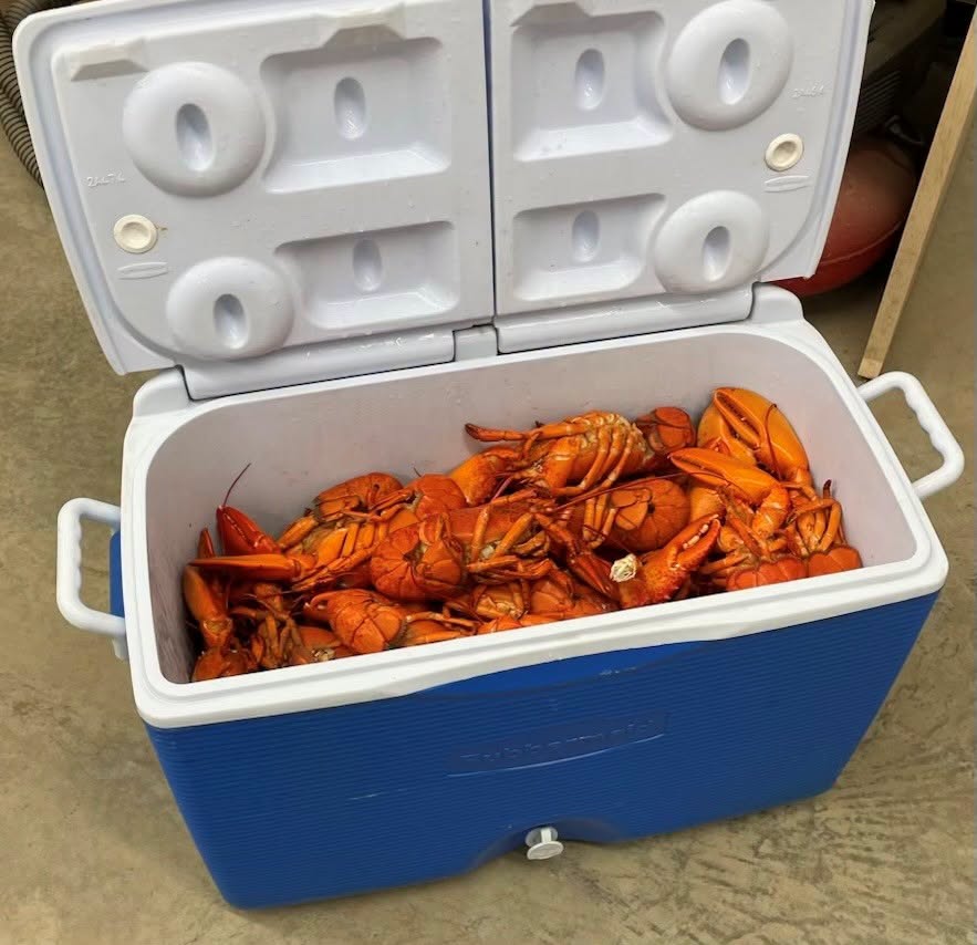 homards.png